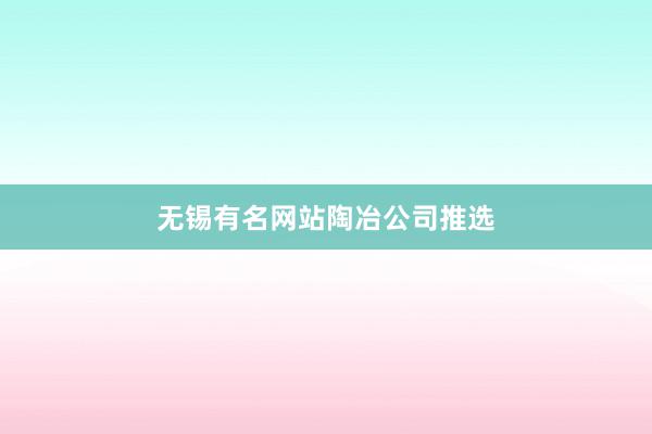 无锡有名网站陶冶公司推选
